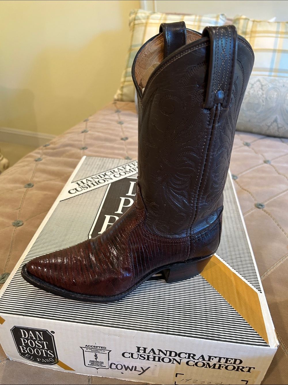 Dan Post Dark Brown Leather Western Boot with Burnished Chestnut Toe